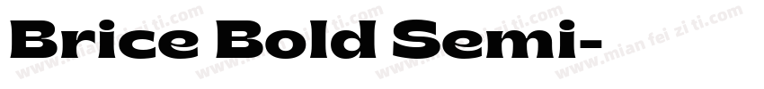 Brice Bold Semi字体转换